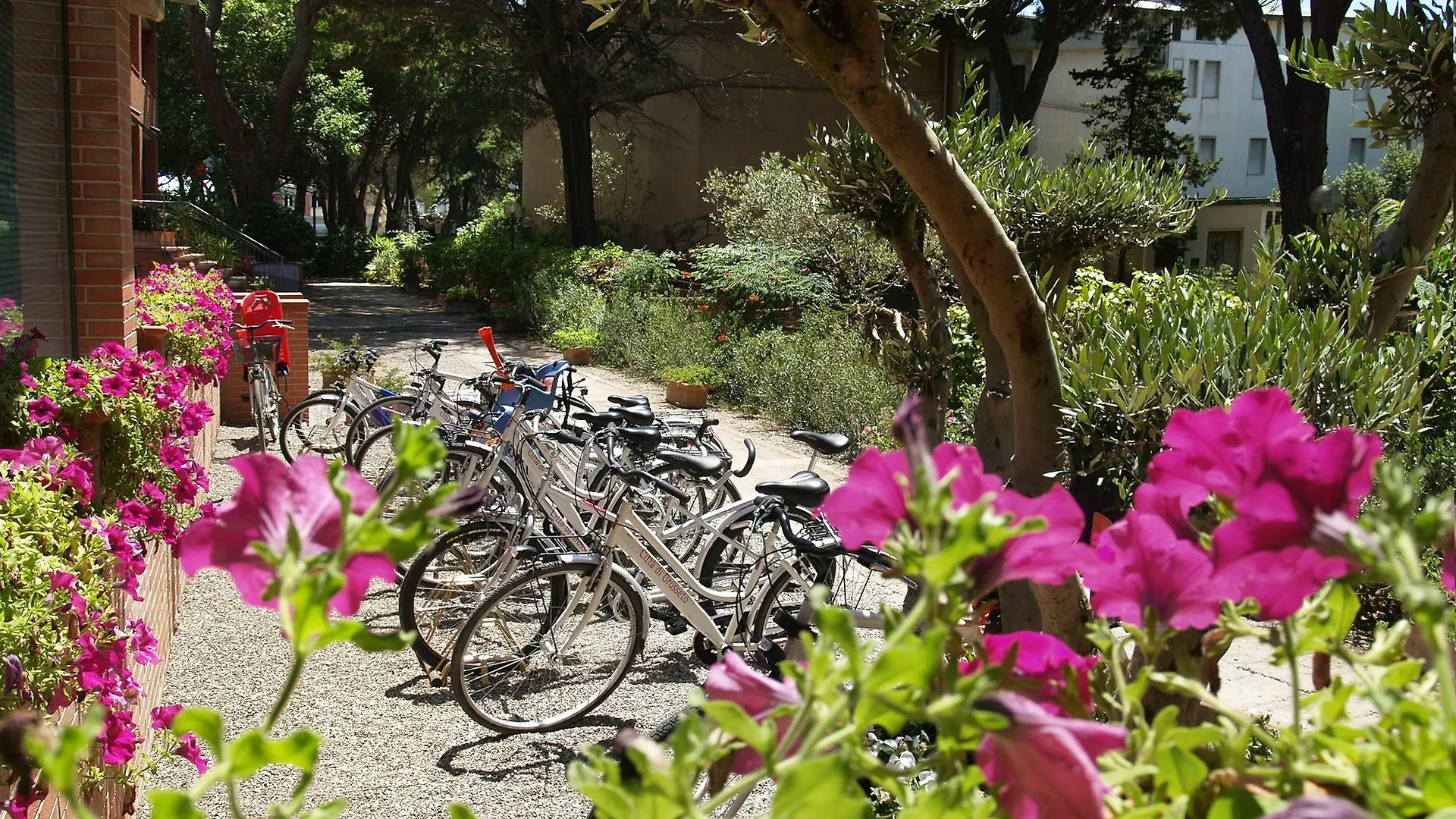 Ricci Hotel - Marina Di Grosseto